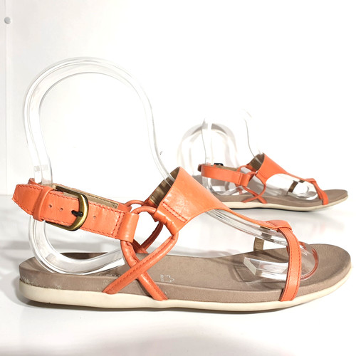 Gino ventori shoes - gino, eu